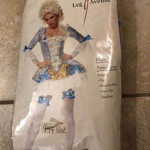Marie Antoinette Halloween Costume
